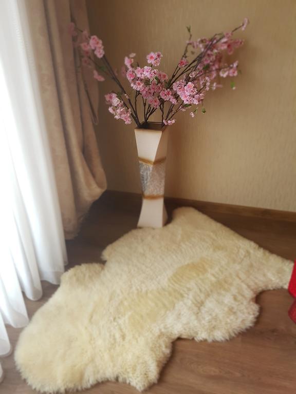 Riga Airport Apartment المظهر الخارجي الصورة